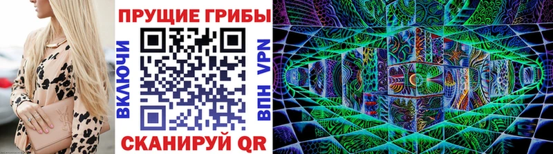 Псилоцибиновые грибы GOLDEN TEACHER  kraken как войти  Торжок 