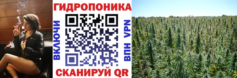 купить наркотики цена  Торжок  Бошки Шишки семена 